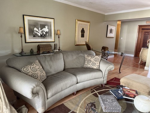 Elegant contemporary living - contemporary,